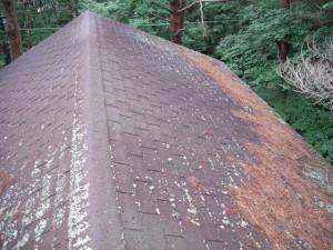 老朽化で屋根が白くなってしまっています。
