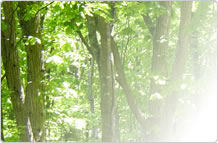 少ない、二酸化炭素排出量。